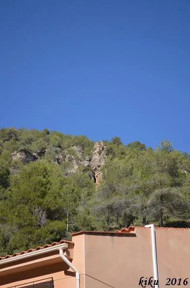 Cova de l'Avi