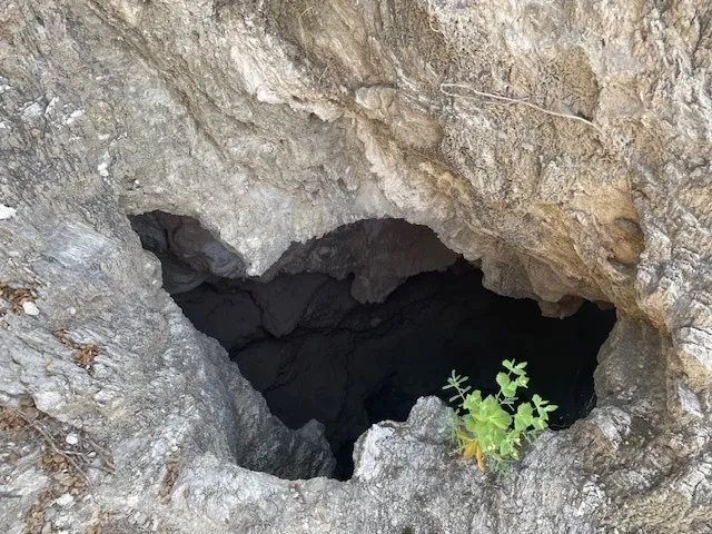Forat Micó