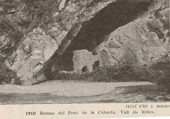 Foto Bauma del Pont de la Cabreta