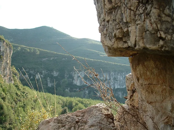 Esquerda del Torrent de Sant Miquel