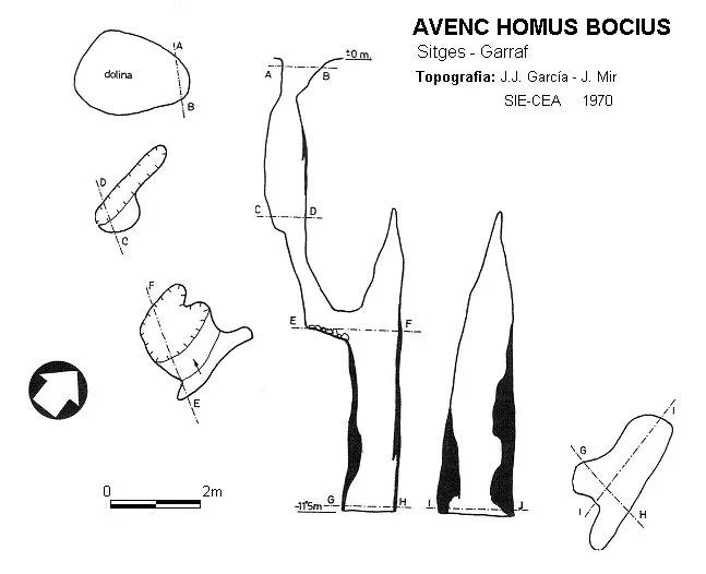 Avenc Homus Bocius
