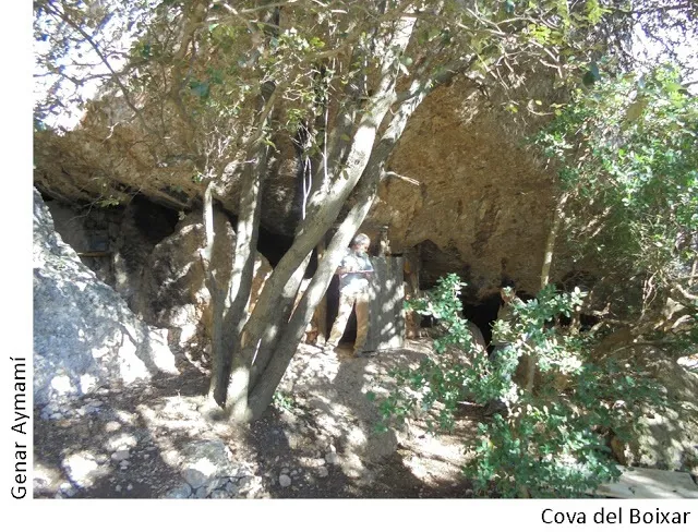 Cova del Boixar