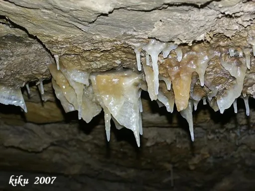 Foto Cova del Brugal