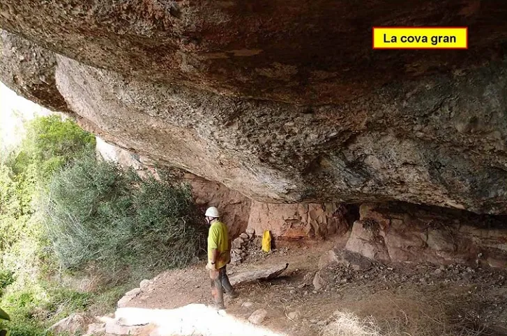 Coves Ronyoses