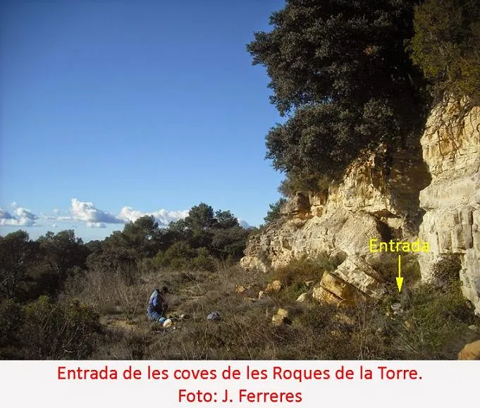 Cova de les Roques de la Torre