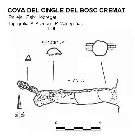Cova del Cingle del Bosc Cremat