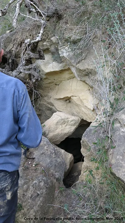 Cova Petita de la Faringalla