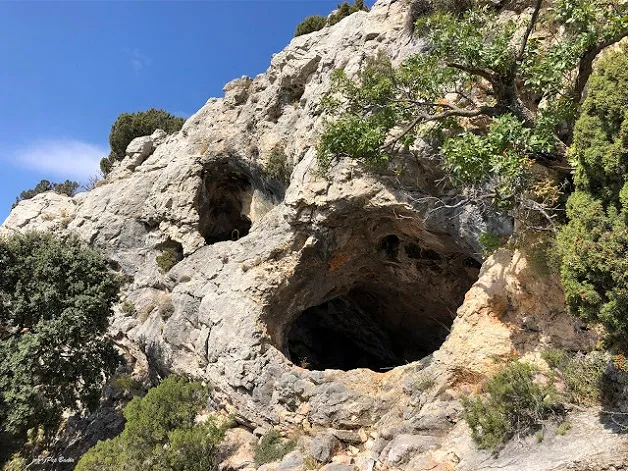 Cova Benaixa