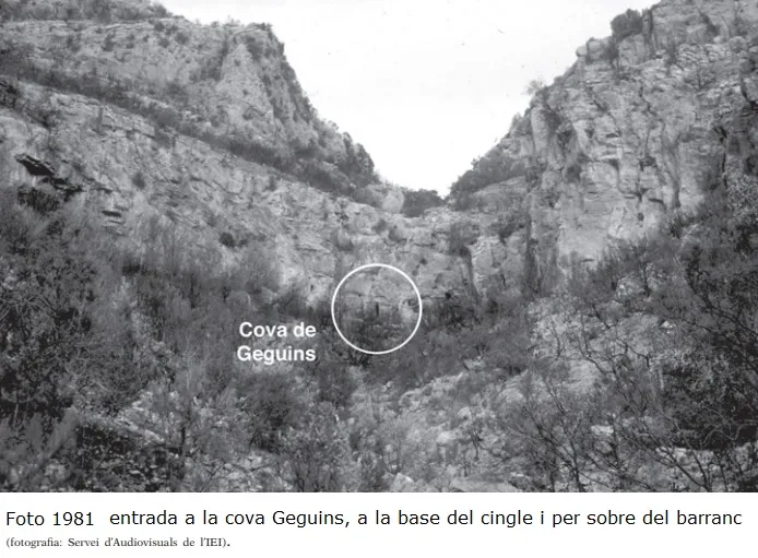 Cova de Geguins