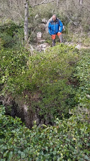 Avenc de la Figuerota