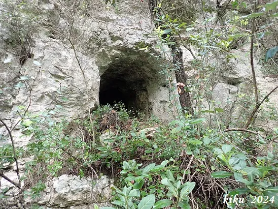 Cova del Toixó