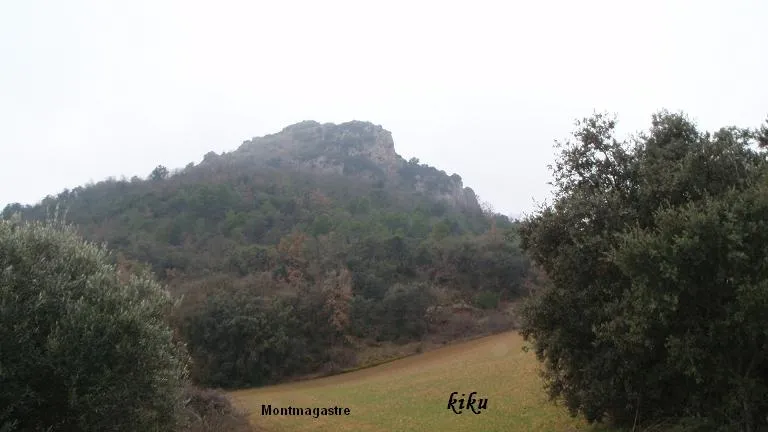 Lo Foranico