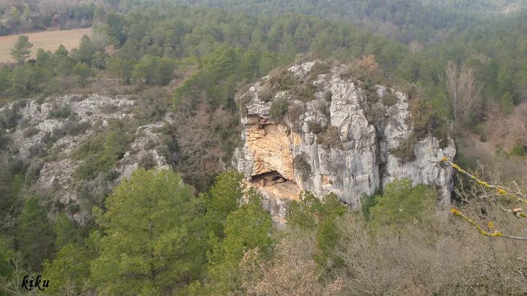 Balma de la Penya del Donzell