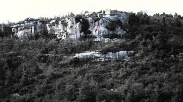 Cova dels Ossos