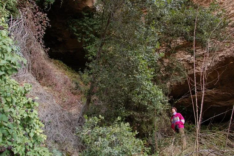 Balma de la Font del Begalot