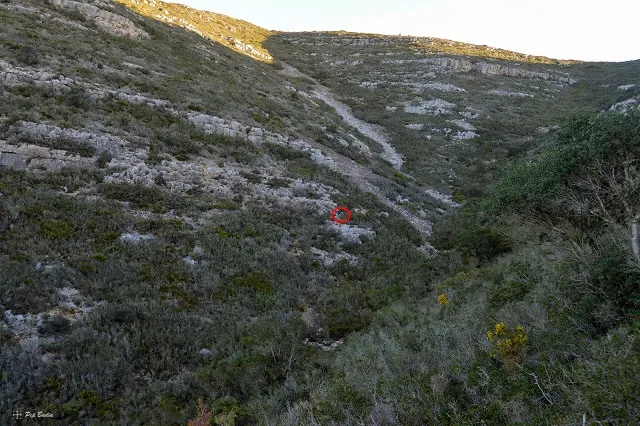 Avenc de Julio de la Sista