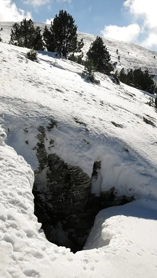 Grallera de Prat Rodó