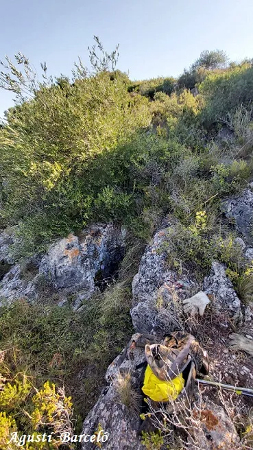 Avenc dels Castellets