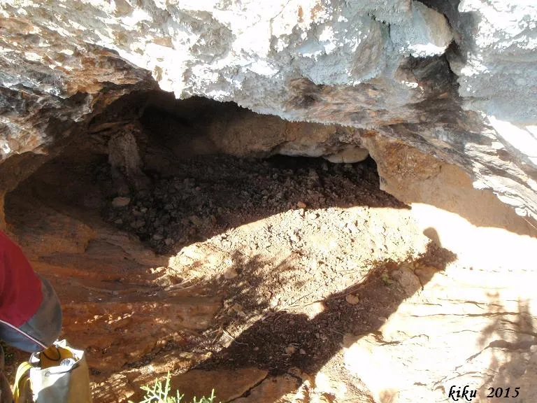 Cova Nº1 de les Collades