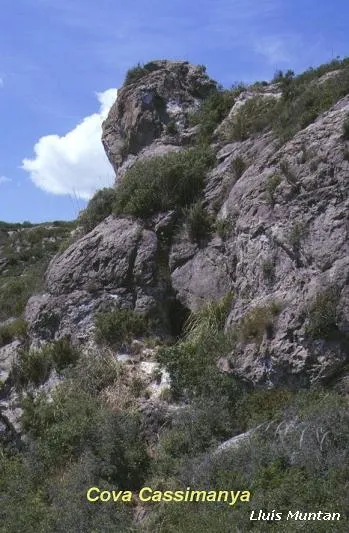 Cova Cassimanya