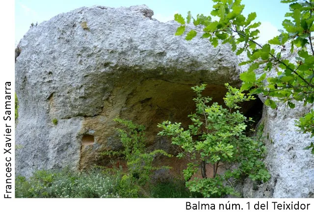 Balmes del Teixidor