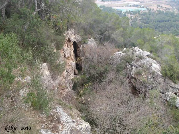 Coves del Mamut