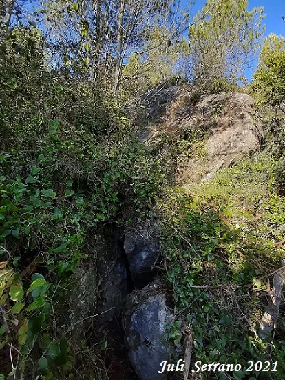 Cova Sm-16 de la Serra del Mas