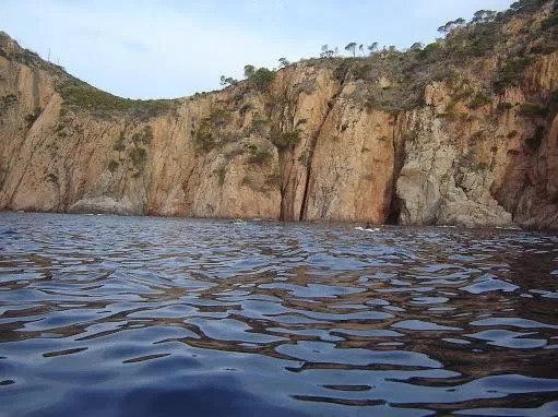 Cova d'en Gispert