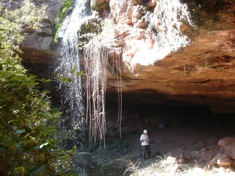 Cova del Ponç