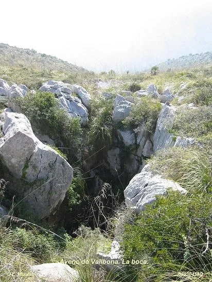 Avenc de Vallbona