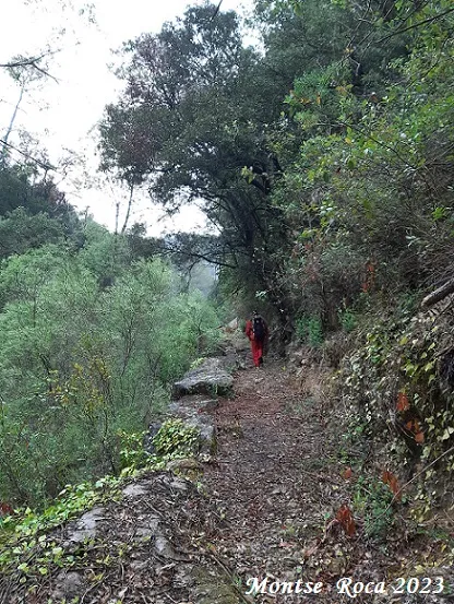 Avenc del Balcó