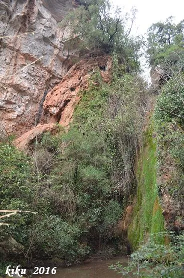 Cova del Bac