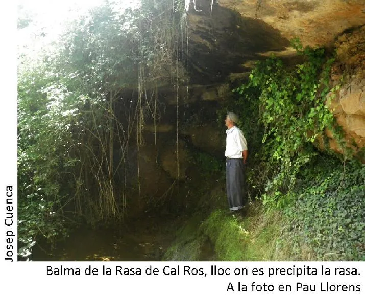 Balma de la Rasa de Cal Ros