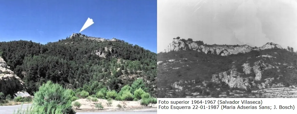 Cova de l'Arbonès
