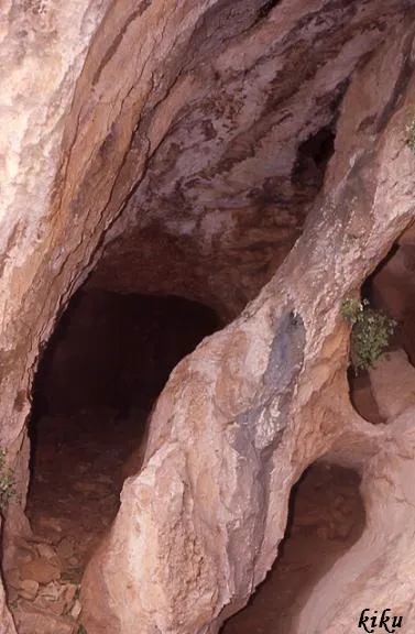 Cova del Llop