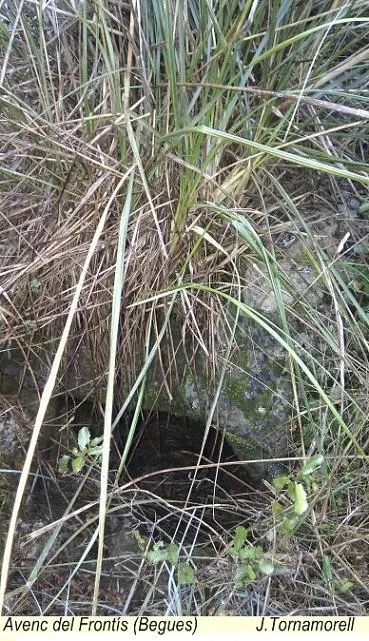 Avenc Frontís