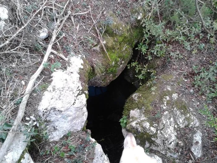 Forat dels Graus