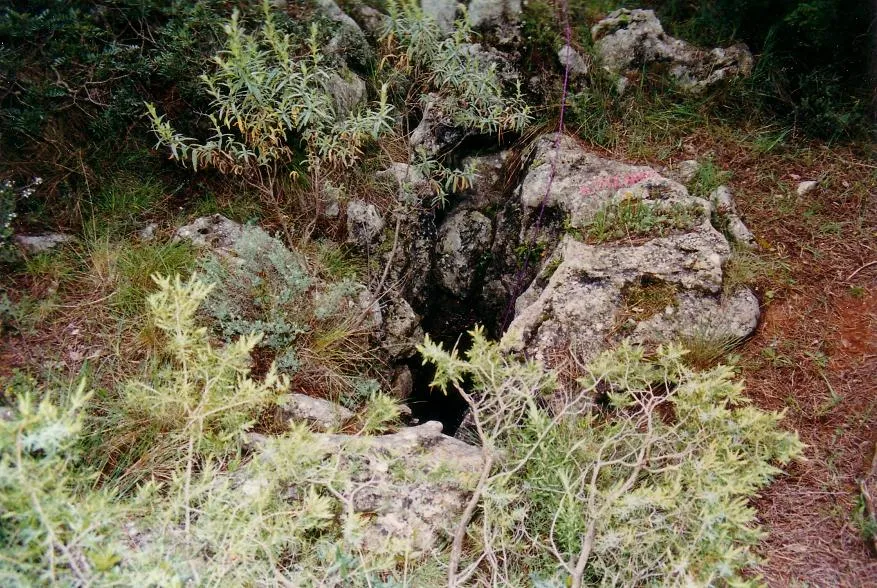 Avenc de la Vinya del Tità