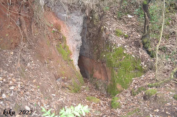 la Barbotera