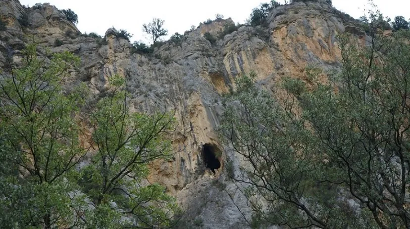 Cova del Mill
