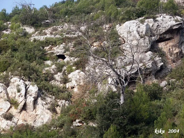 Coves de Santa Anna