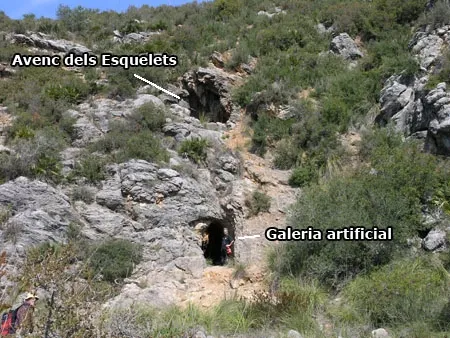 Avenc dels Esquelets