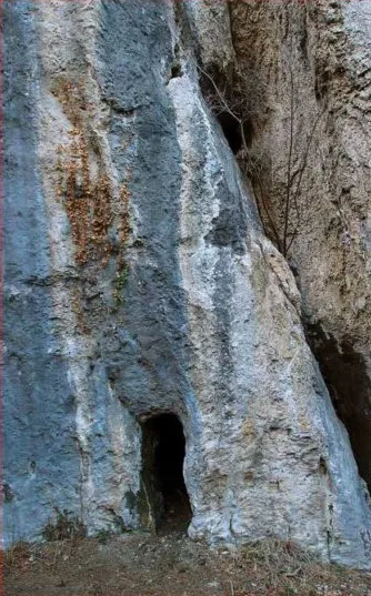 Tuta del Cint