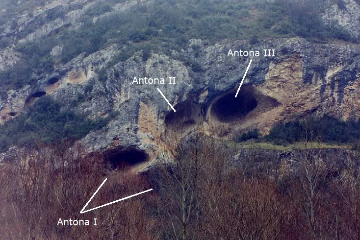 Coves d'Antona
