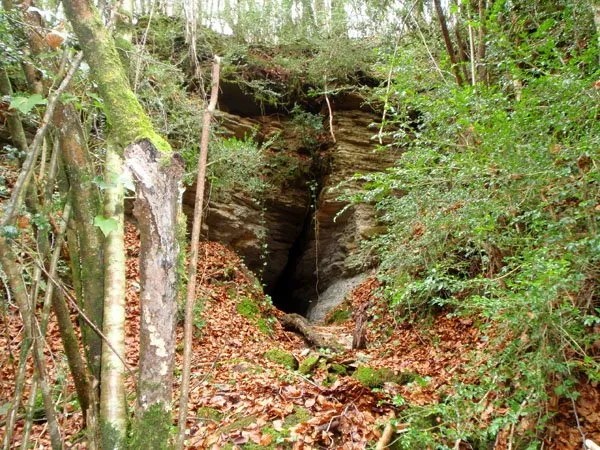 Cova Codolosa