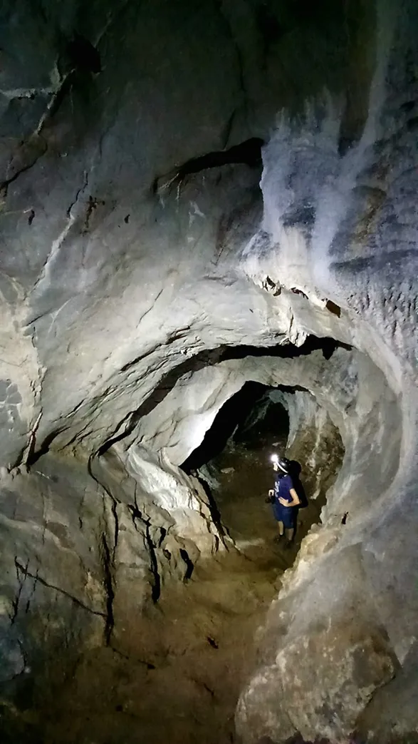 Foto Cova de l'Estret del Bosc de Quer