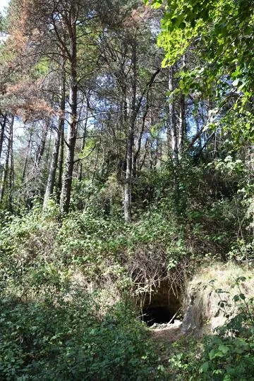 Cova de Tofaroques