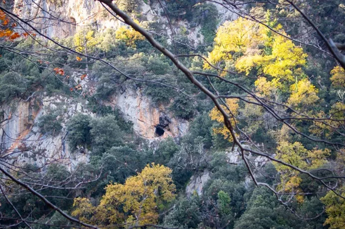 Cova de la Viuda