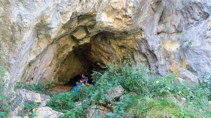 Cova Palomera