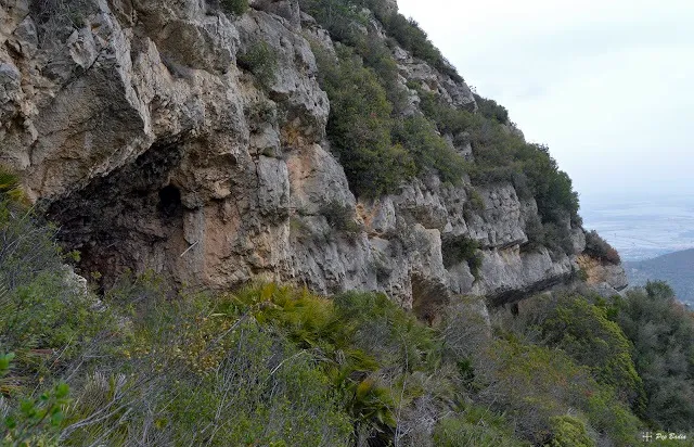 Cova del Floro